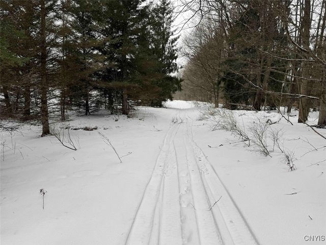 10020 Mclaughlin Road, Machias, NY 14171