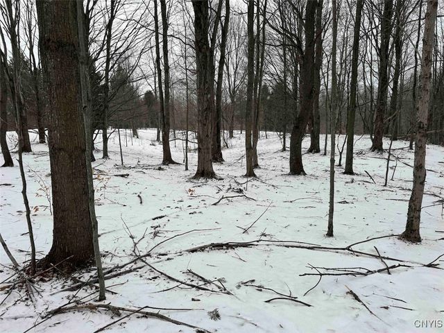 10020 Mclaughlin Road, Machias, NY 14171