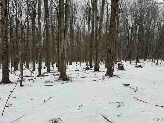 10020 Mclaughlin Road, Machias, NY 14171