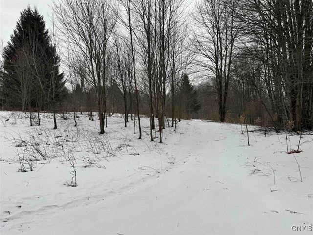 10020 Mclaughlin Road, Machias, NY 14171