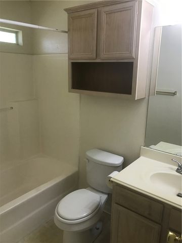 411 Pronghorn, College Station, TX 77845