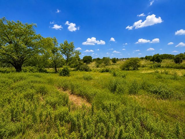 14197 County Road 4054, Kemp, TX 75143