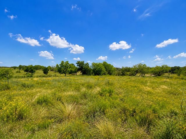 14197 County Road 4054, Kemp, TX 75143