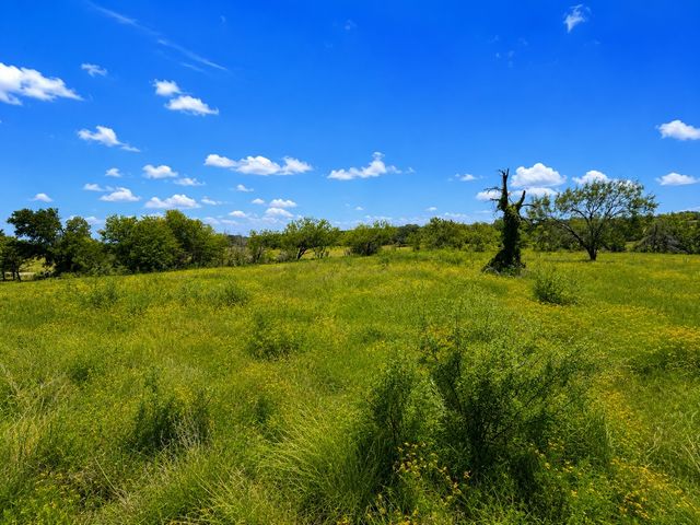 14197 County Road 4054, Kemp, TX 75143