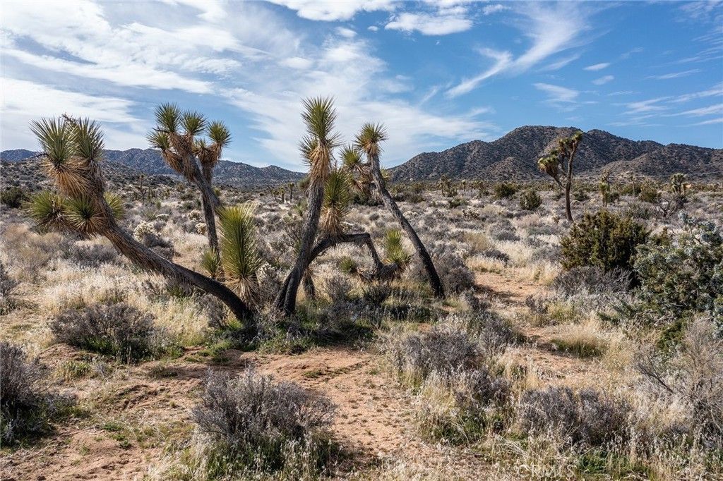 Image 38 of property listing at 58648 San Marino, Yucca Valley, CA 92284
