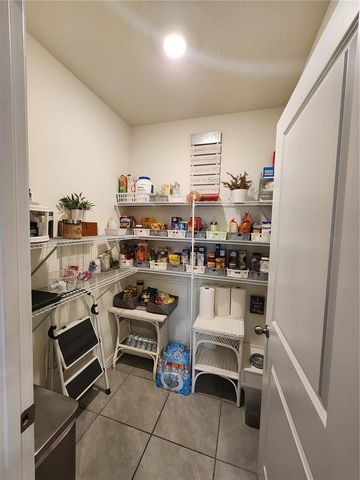 17033 OVAL RUM DRIVE, Wimauma, FL 33598