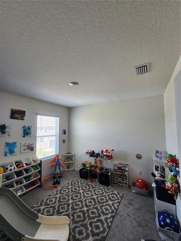 17033 OVAL RUM DRIVE, Wimauma, FL 33598
