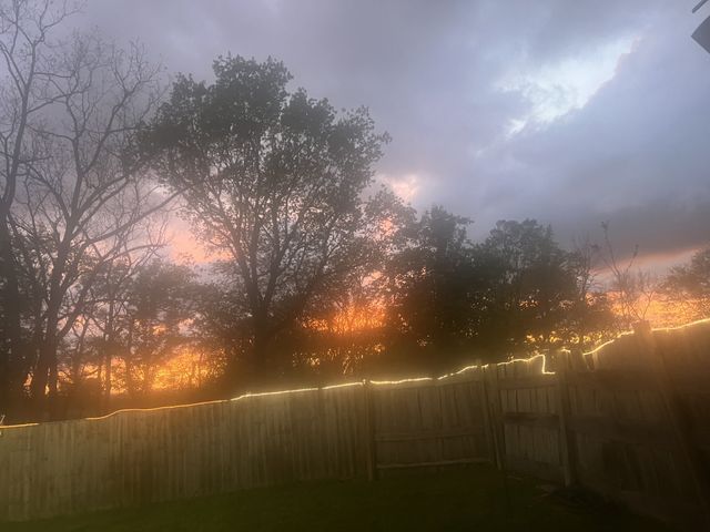 251 Gibbs Ln, Gallatin, TN 37066