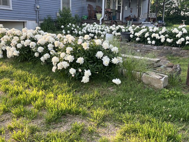 251 Gibbs Ln, Gallatin, TN 37066