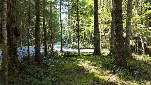291 Schinn Canyon Drive, Deming, WA 98244