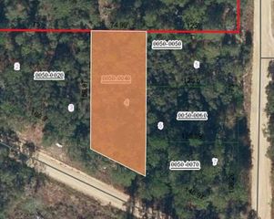 XX TERREL STREET, Interlachen, FL 32148