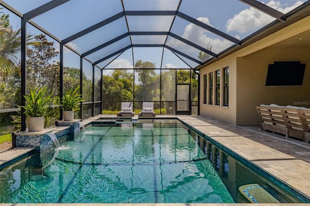 31961 SANDSPIRIT PLACE, Wesley Chapel, FL 33543