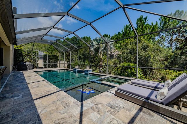 31961 SANDSPIRIT PLACE, Wesley Chapel, FL 33543