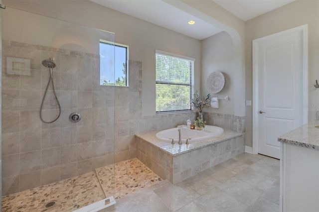 31961 SANDSPIRIT PLACE, Wesley Chapel, FL 33543