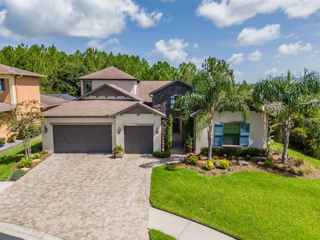 31961 SANDSPIRIT PLACE, Wesley Chapel, FL 33543