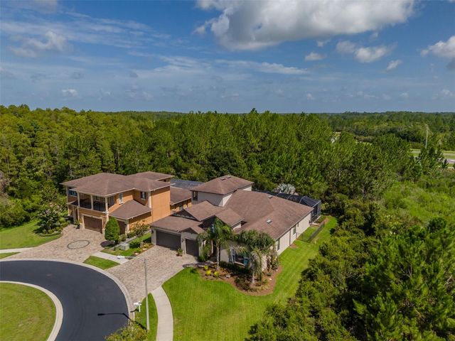 31961 SANDSPIRIT PLACE, Wesley Chapel, FL 33543
