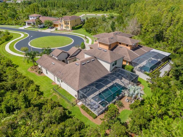31961 SANDSPIRIT PLACE, Wesley Chapel, FL 33543