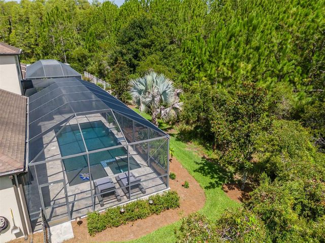 31961 SANDSPIRIT PLACE, Wesley Chapel, FL 33543