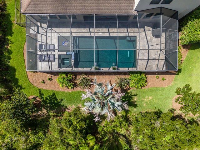 31961 SANDSPIRIT PLACE, Wesley Chapel, FL 33543