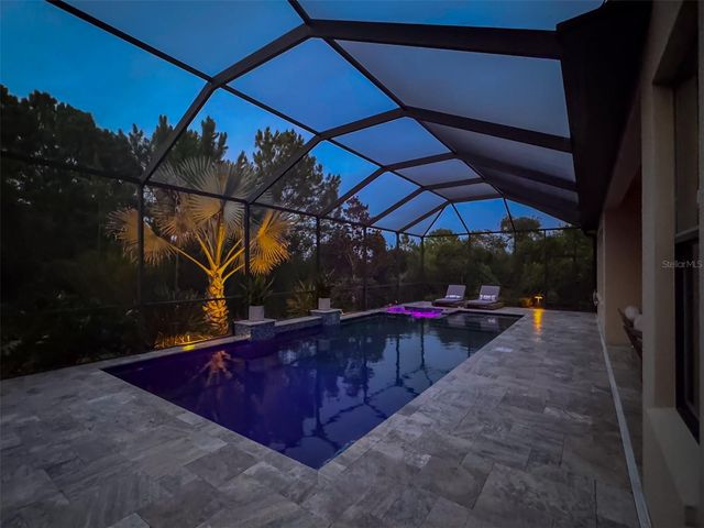 31961 SANDSPIRIT PLACE, Wesley Chapel, FL 33543