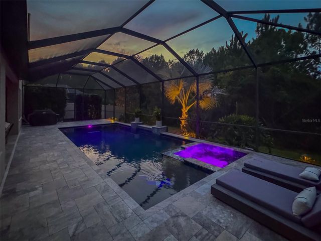 31961 SANDSPIRIT PLACE, Wesley Chapel, FL 33543