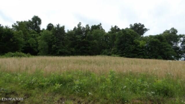 51.30ac Livingston Hwy, Byrdstown, TN 38549