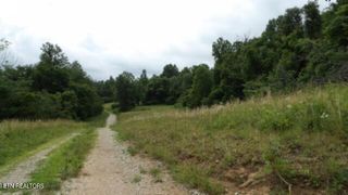 51.30ac Livingston Hwy, Byrdstown, TN 38549