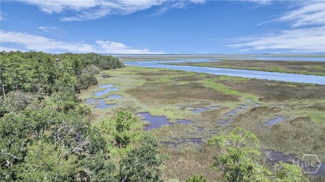 97 Cubbage Island Drive, Richmond Hill, GA 31324