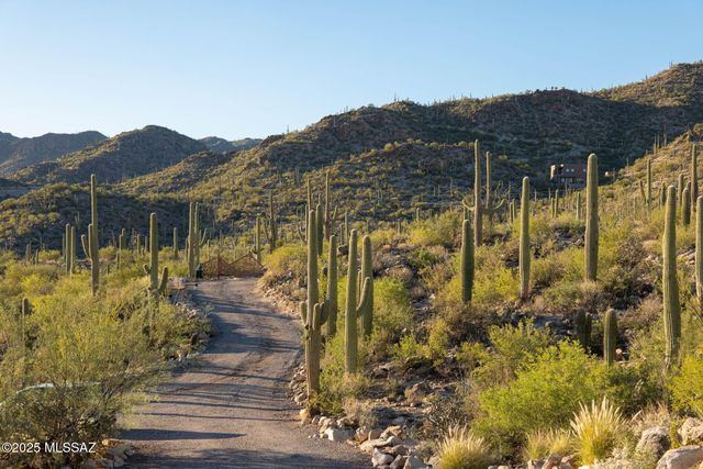 14192 N Gecko Canyon Trail, Tucson, AZ 85755