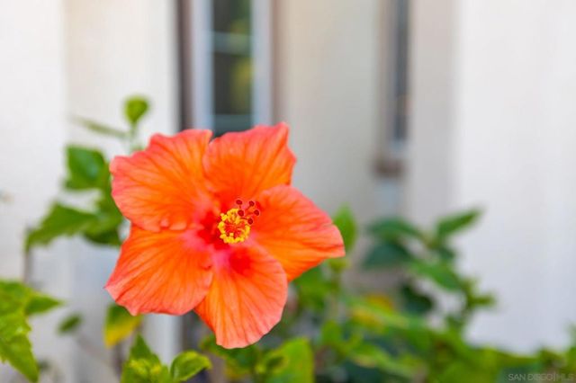 26659 Cactus Creek Way, Menifee, CA 92586