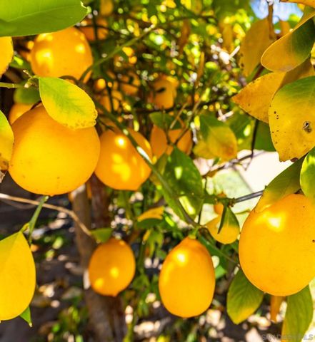 26659 Cactus Creek Way, Menifee, CA 92586