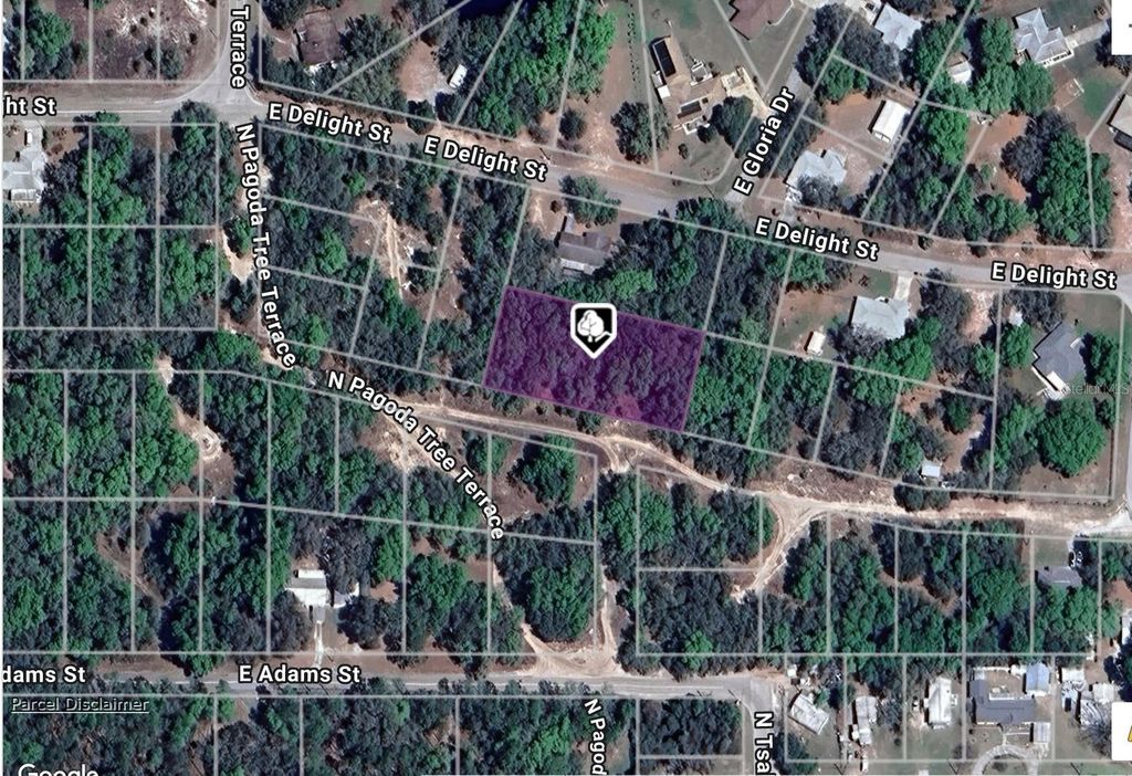 3917 E PEGGY STREET, Hernando, FL 34442