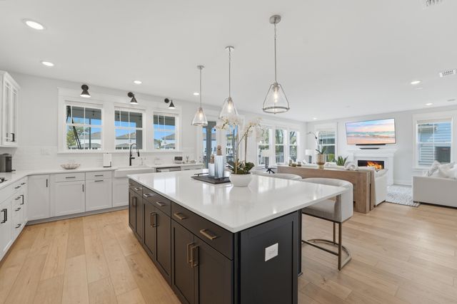 1625 Farmers Way, Mount Pleasant, SC 29466