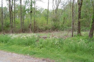 67 51st Avenue, Gruetli Laager, TN 37339