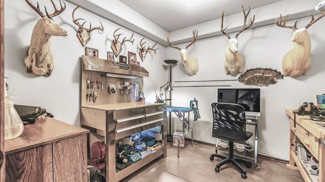 324 Iron Horse Court, Grand Junction, CO 81507