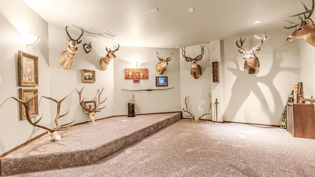 324 Iron Horse Court, Grand Junction, CO 81507