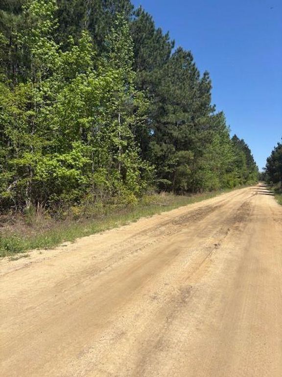 0 Mt Pleasant Church Road, Pineview, GA 31071