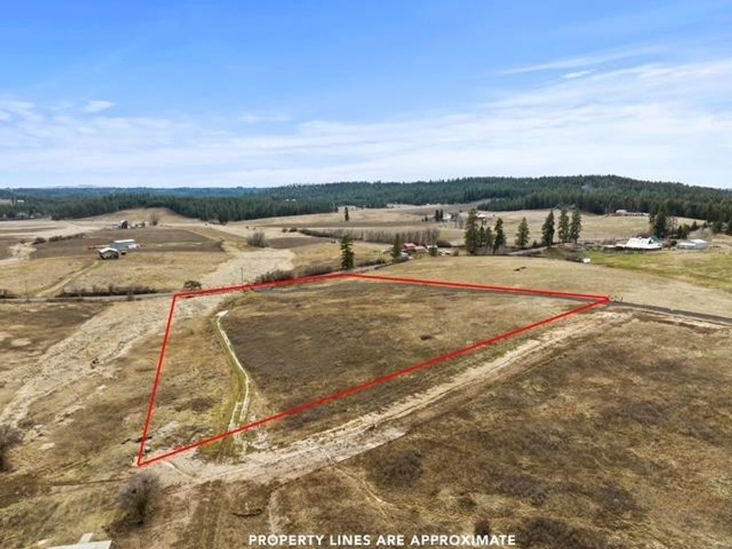 1170X E Tallman Rd, Chattaroy, WA 99003 photo 2