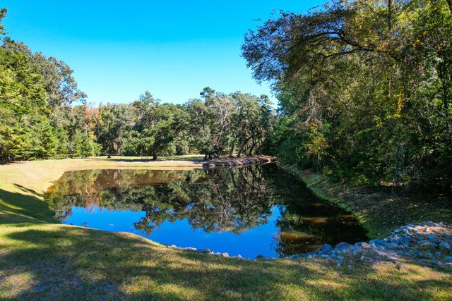 6530 Pepper Grass Trail, Ravenel, SC 29470