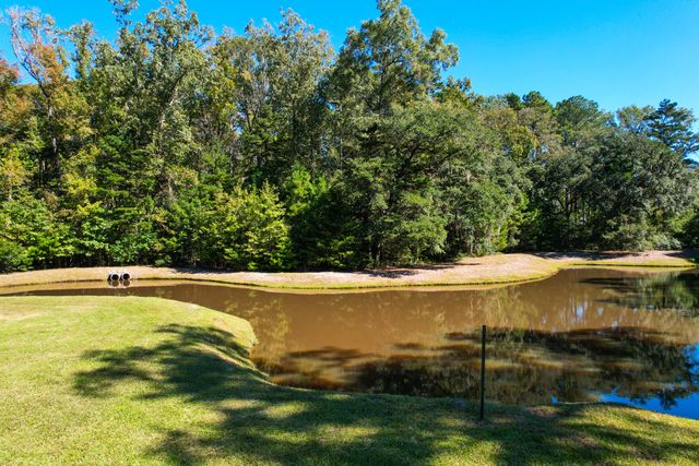 6530 Pepper Grass Trail, Ravenel, SC 29470