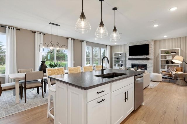 15036 Ashtown Lane, Rosemount, MN 55068