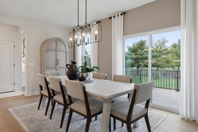 15036 Ashtown Lane, Rosemount, MN 55068