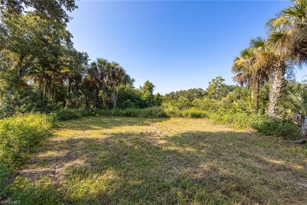 19040 Fox Run RD, ALVA, FL 33920 — photo 2