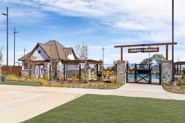 10124 High Banker Drive, Aubrey, TX 76227