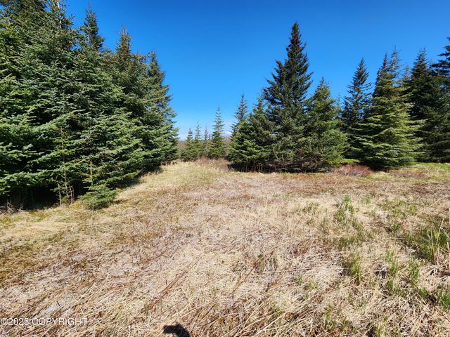 000 Misty Ridge Road, Homer, AK 99603