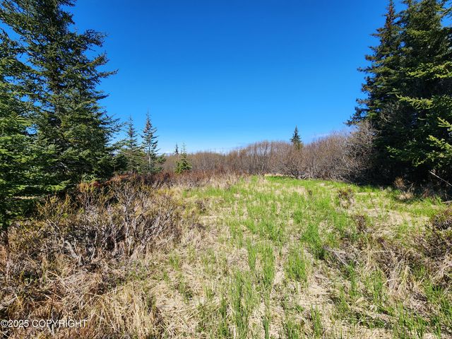 000 Misty Ridge Road, Homer, AK 99603