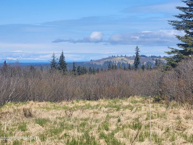 000 Misty Ridge Road, Homer, AK 99603