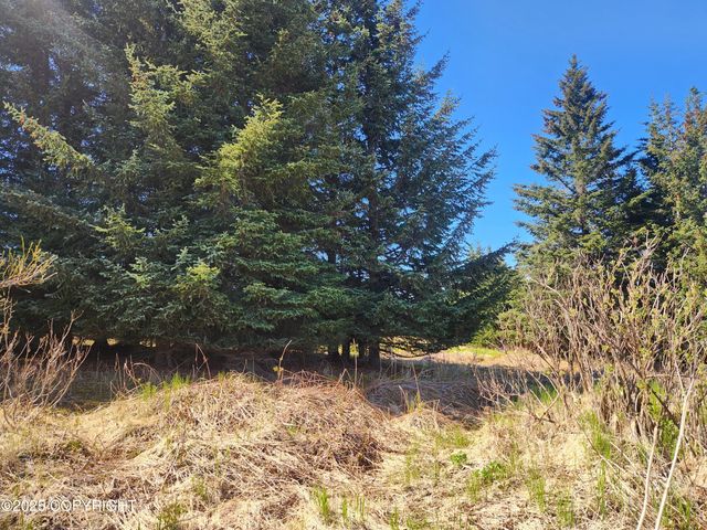 000 Misty Ridge Road, Homer, AK 99603