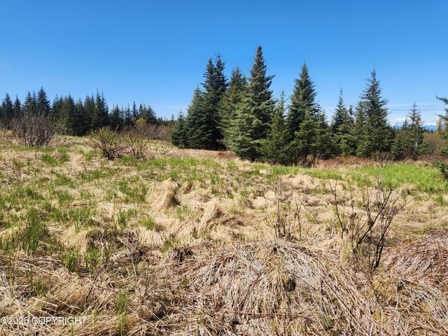 000 Misty Ridge Road, Homer, AK 99603