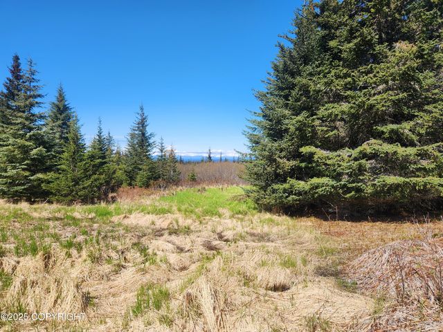 000 Misty Ridge Road, Homer, AK 99603